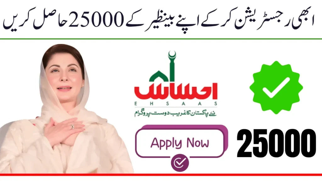 Ehsaas 8171 Program 2025
